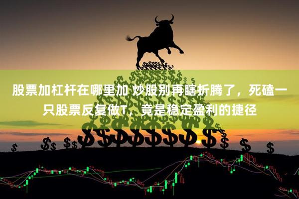 股票加杠杆在哪里加 炒股别再瞎折腾了，死磕一只股票反复做T，竟是稳定盈利的捷径